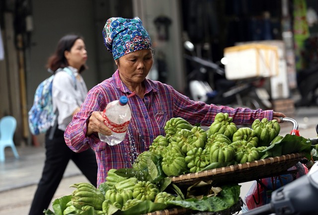 Trong cơn gió se lạnh của Hà Nội, hình ảnh chiếc xe chở phật thủ rong ruổi khắp phố phường mang đậm hơi thở ngày Tết lại xuất hiện giữa mùa hè.