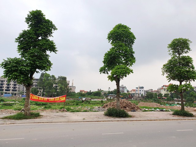 Dự án Trường THPT chất lượng cao Mùa Xuân được xem là khu đất vàng ở quận Long Biên hiện nay.