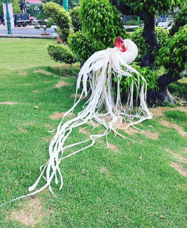 
 C&oacute; nhiều người hỏi mua, trả gi&aacute; l&ecirc;n đến 100 triệu đồng nhưng anh kh&ocirc;ng b&aacute;n

