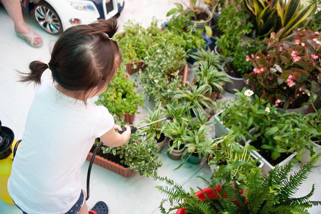 Nhìn những người thân trong gia đình mình tất bật mua chậu, chăm chút, nâng niu từng gốc cây, gốc hoa bị dập nát, Phương Vy cảm thấy rất vui. Đặc biệt là việc làm này khiến cho con gái hiểu hơn về thiên nhiên, về bảo vệ môi trường.