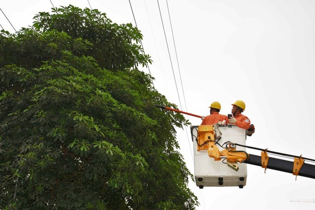 Đội đường dây đang cưa cây để không ảnh hưởng tới hành lang an toàn lưới điện