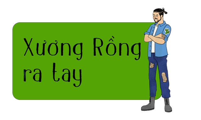 Xương Rồng tư vấn.