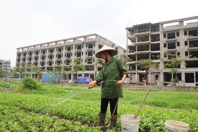 
Nhiều người dân cho rằng, Nhà nước thu hồi đất đối với Dự án xây dựng Trường THPT chất lượng cao Mùa Xuân tại quận Long Biên là không đúng pháp luật.

