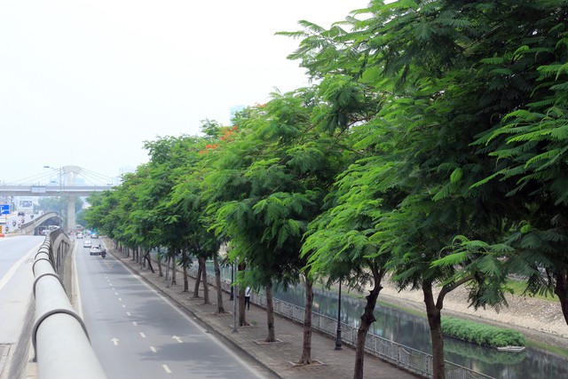 
Vì vậy, với điều kiện phát triển phức tạp hiện nay, rất cần nghiên cứu để xây dựng Luật “Phát triển hành lang xanh”, lồng ghép với Luật Phát triển đô thị để áp dụng cho tất cả các đô thị lớn ở Việt Nam.
