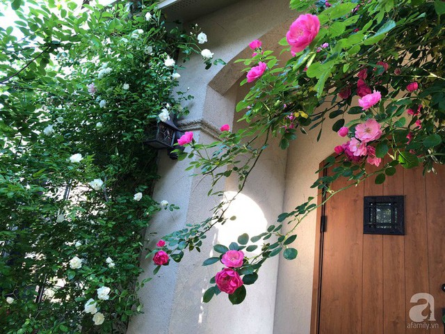 Cổng nhà dịu dàng sắc hồng.