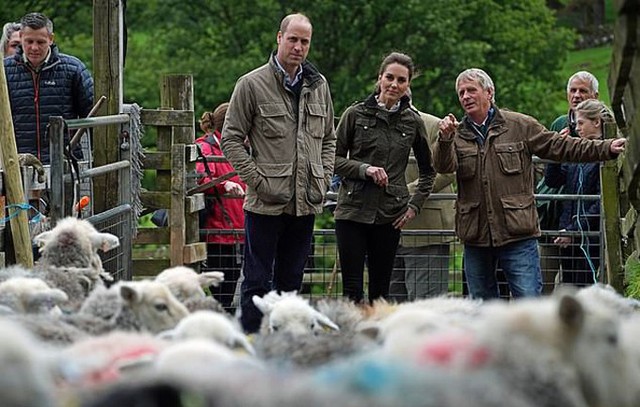 William và Kate thăm trang trại ở vùng nông thôn Cumbria, Anh, hôm 11/6. Ảnh: PA.