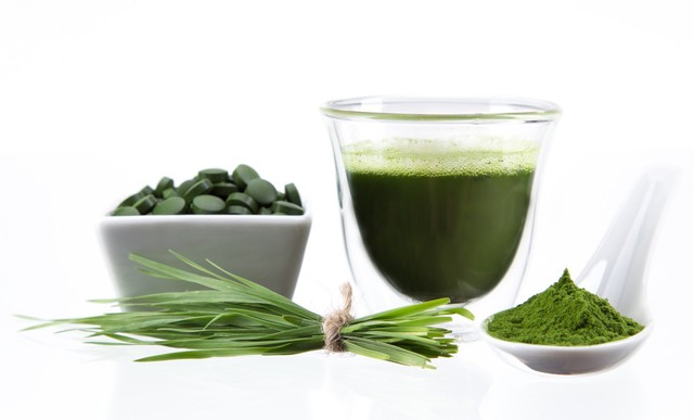 Tảo Spirulina giúp người gầy tăng cân hiệu quả, an toàn