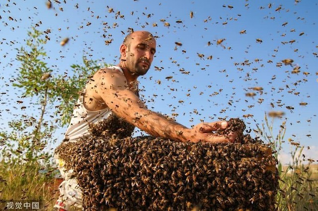 Kinh hãi người đàn ông Thổ Nhĩ Kỳ để 10kg ong bám trên cơ thể - Ảnh 2.