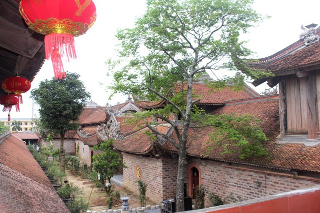 Một số lát cắt về cảnh đẹp tại chùa Tranh