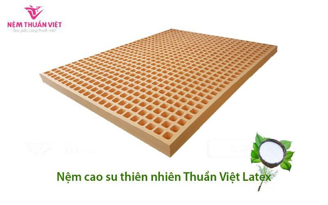 Nệm cao su Thuần Việt Latex – Nệm cao su thiên nhiên cao cấp  - Ảnh 1.