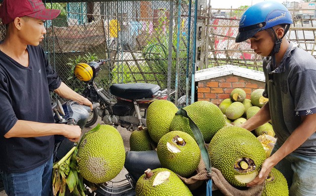 Trung Quốc ăn cầm chừng, giá mít Thái rớt thảm hại - Ảnh 2.