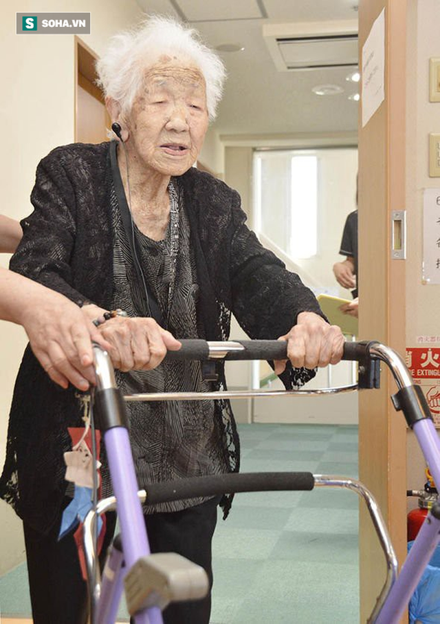  Cụ bà 116 tuổi sống thọ nhất nước Nhật và đây là bí quyết: Nhiều người có thể học theo - Ảnh 1.