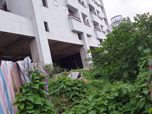 Hà Nội: Hàng trăm căn hộ tái định cư trên đất vàng quận Cầu Giấy rong rêu phủ kín - Ảnh 6.