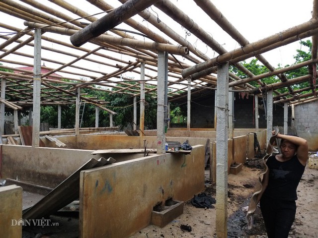 
Chuồng trại ở thủ phủ chăn nuôi lợn ở Bình Lục (Hà Nam) tan hoang sau bão dịch. Nhiều chủ trại đã phải phá chuồng để nghỉ nuôi.
