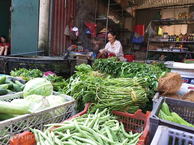 
Nhiều hộ trắng tay sau khi bị dịch tả lợn châu Phi tấn công nay phải chuyển sang buôn rau, tạp hóa để mưu sinh kiếm sống, trả nợ.
