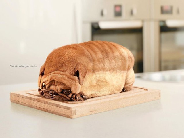 Quảng cáo Life Buoy biến một chú chó thành bánh mỳ để nhấn mạnh tầm quan trọng của việc sử dụng xà phòng tắm: “Bạn ăn thứ mà bạn chạm vào”.