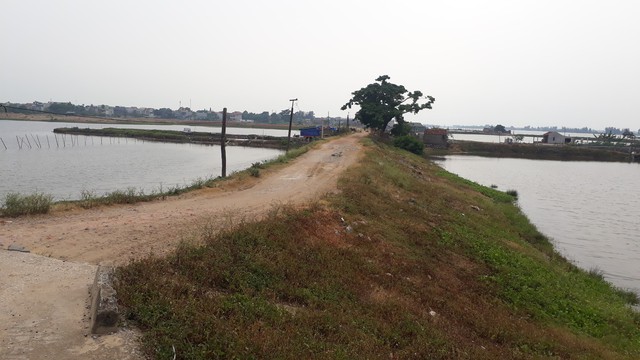 TP Sầm Sơn (Thanh Hóa): Trước mùa mưa bão,  hàng nghìn hộ dân lo đê vỡ - Ảnh 1.