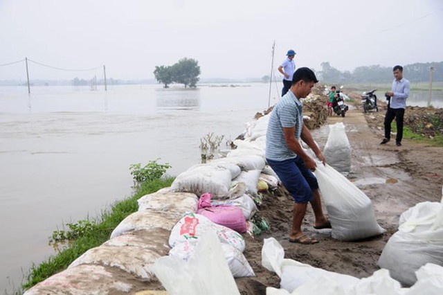 Hải Phòng ra công điện khẩn ứng phó cơn bão số 3 - Ảnh 1.