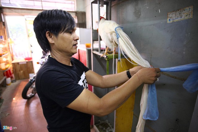 Tây Ninh: Bán gà Onagadori đo đuôi tính tiền, giá trăm triệu mỗi con - Ảnh 7.