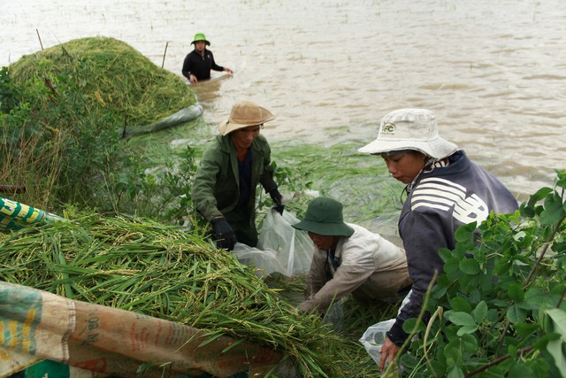 Đắk Lắk: Nước mắt người dân trong mùa lũ - Ảnh 2.