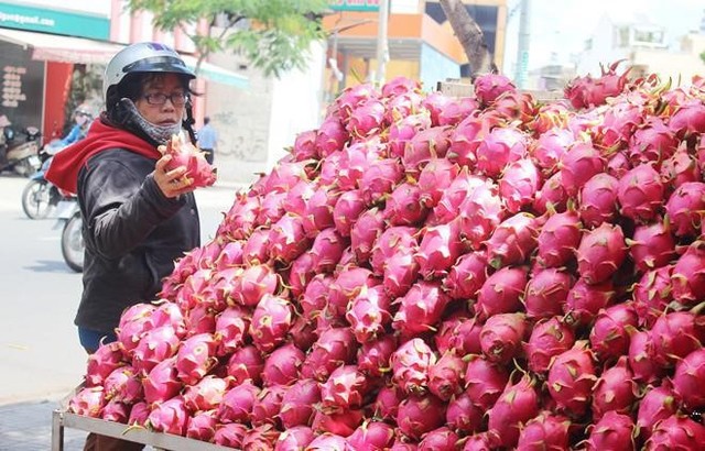 Vì sao hàng trăm xe thanh long Việt Nam ùn ứ ở cửa khẩu? - Ảnh 1.