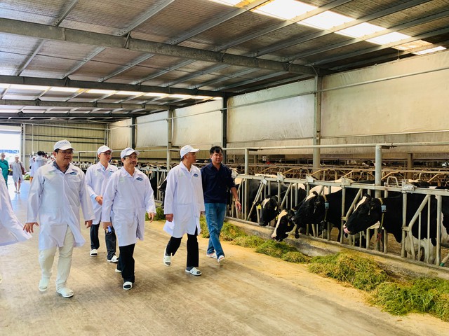 Vinamilk tham gia xây dựng vùng chăn nuôi bò sữa an toàn dịch bệnh theo quy định tổ chức thú y thế giới - Ảnh 4.