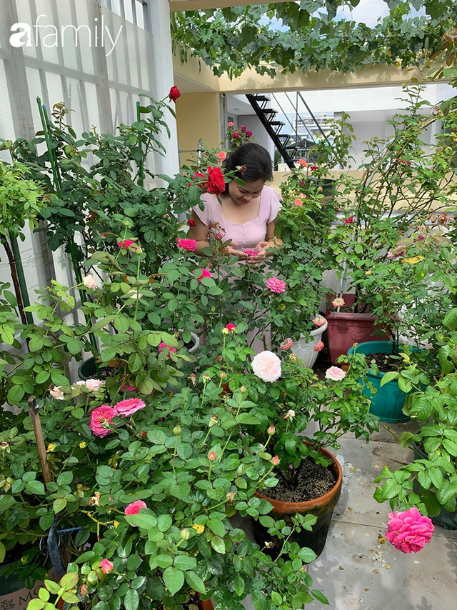 Lạc lối khi bước vào vườn hồng trên sân thượng của bà mẹ hai con ở TP. HCM - Ảnh 1.