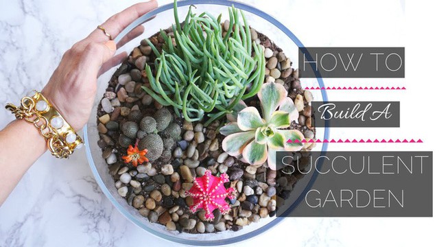 14 gợi ý đắt giá để bạn có thể tự tạo một khu vườn mini đẹp ấn tượng  - Ảnh 2.