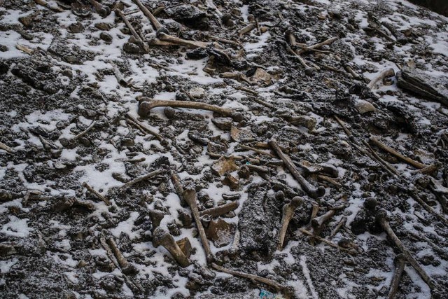 Bí ẩn những xương người trồi lên khi băng tan trên dãy Himalaya - Ảnh 2.