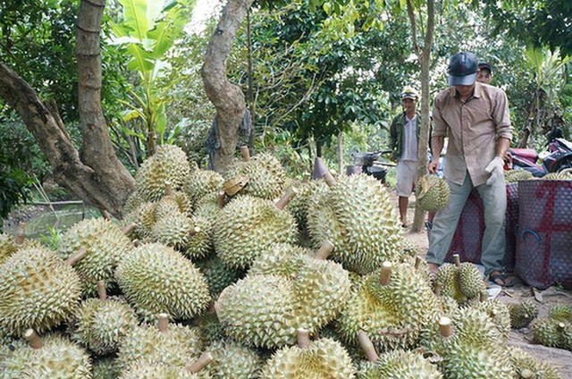 Cửa chính gặp rào, lối nhỏ siết mạnh, đường khó của thế mạnh Việt - Ảnh 1.