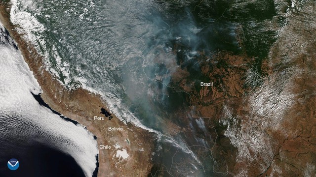 Cháy rừng Amazon - lá phổi địa cầu trước nguy cơ bị bức tử - Ảnh 1.