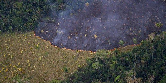 Cháy rừng Amazon - lá phổi địa cầu trước nguy cơ bị bức tử - Ảnh 4.