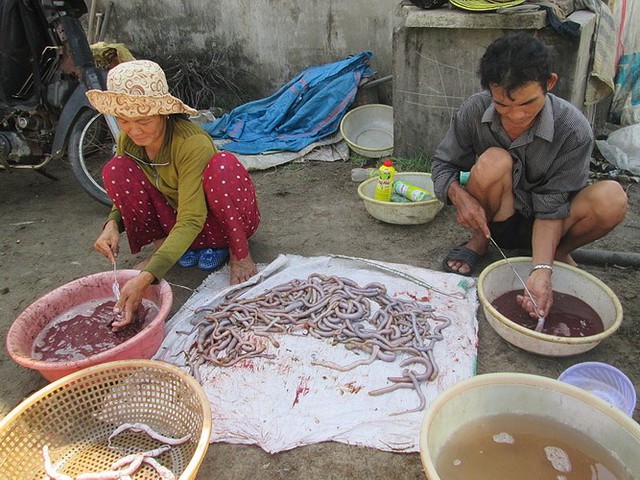 Hàng loạt những thứ lạ lùng đang được thương lái Trung Quốc thu mu - Ảnh 1.