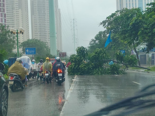 Gió giật mạnh, nhiều điểm ngập sâu, cây đổ tràn lan ở Hà Nội do ảnh hưởng mưa bão - Ảnh 10.