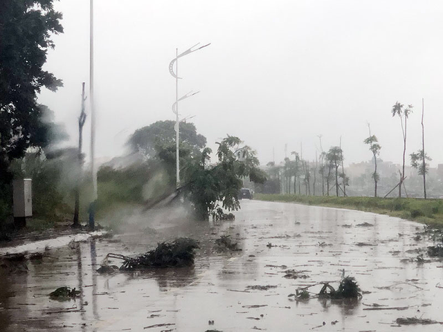 Nhiều cây xanh ở nhiều tỉnh thành bị quật đổ do bão số 3, trời tiếp tục mưa lớn - Ảnh 1.
