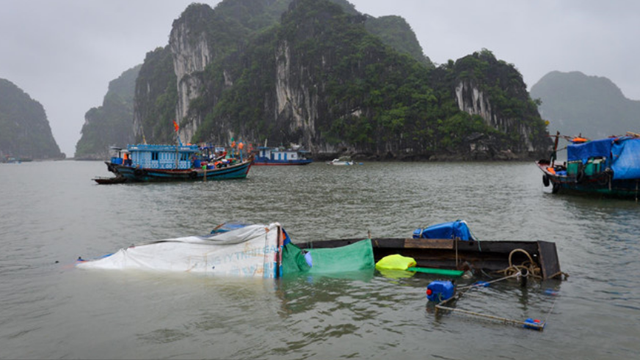 Nhiều cây xanh ở nhiều tỉnh thành bị quật đổ do bão số 3, trời tiếp tục mưa lớn - Ảnh 4.