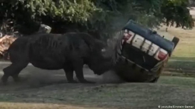 Khoảnh khắc kinh hoàng: Tê giác tức giận hất tung xe hơi 3 lần ở Đức  - Ảnh 1.