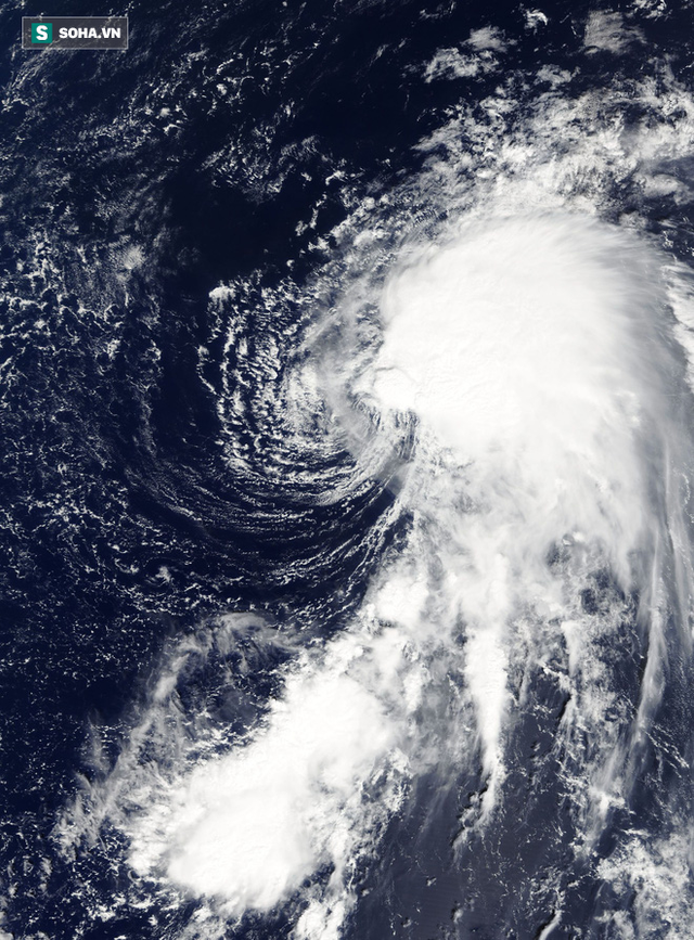 Biển Đông liên tiếp xuất hiện bão mạnh, dự báo sẽ có bão số 5 đổ bộ, khu vực nào ảnh hưởng nặng nhất? - Ảnh 1.