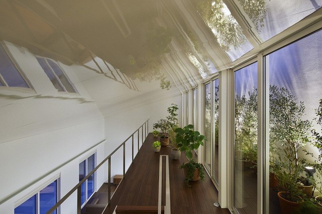 Ngôi nhà hai tầng gây ấn tượng mạnh vì sở hữu 1 hành lang dài được xếp toàn cây cảnh - Ảnh 5.