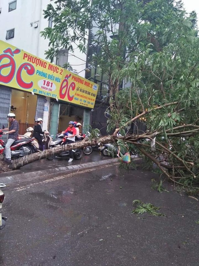 Kinh hoàng cây đổ gây chết người ở Hà Nội nhưng đây lại không phải là lần đầu tiên - Ảnh 3.