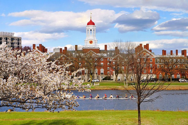 10 đại học tốt nhất thế giới, Harvard không đứng thứ nhất - Ảnh 7.