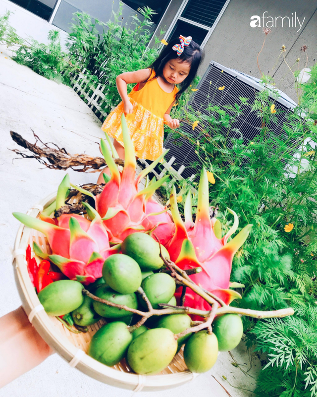 Khu vườn xanh um trĩu các loại rau, củ, quả Việt của bà mẹ đảm ở Mỹ - Ảnh 2.