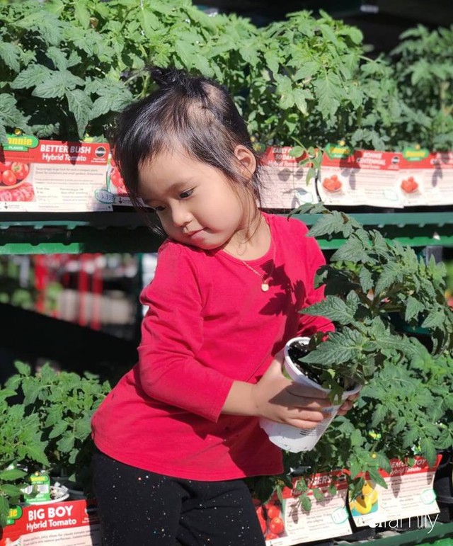 Khu vườn xanh um trĩu các loại rau, củ, quả Việt của bà mẹ đảm ở Mỹ - Ảnh 47.