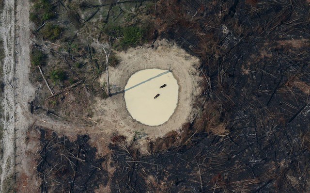 Ngoài Tổng thống Brazil, đằng sau còn một người gây ra vụ cháy rừng Amazon - Ảnh 4.