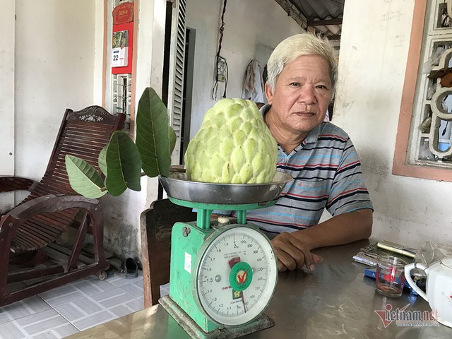 Vét hết vàng mua cây na trái siêu to khổng lồ nặng 1,5kg - Ảnh 6.