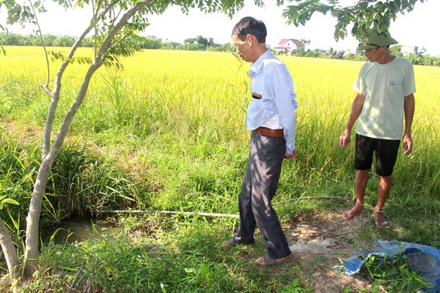 Hải Dương: Chồng phát hiện vợ tử vong nghi bị điện giật - Ảnh 1.