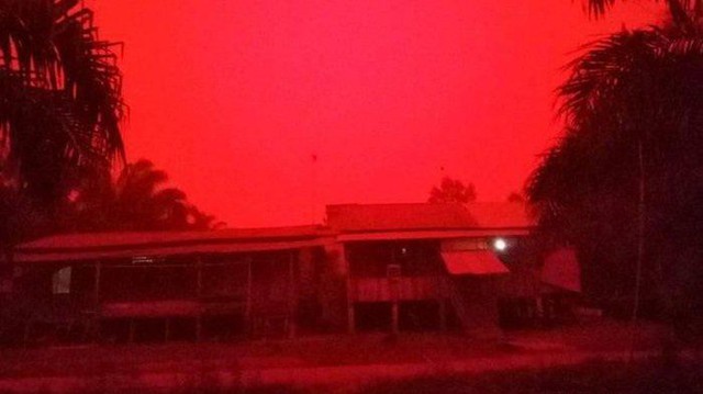 Những đợt cháy rừng tồi tệ khiến bầu trời ở Indonesia chuyển màu đỏ như máu - Ảnh 2.