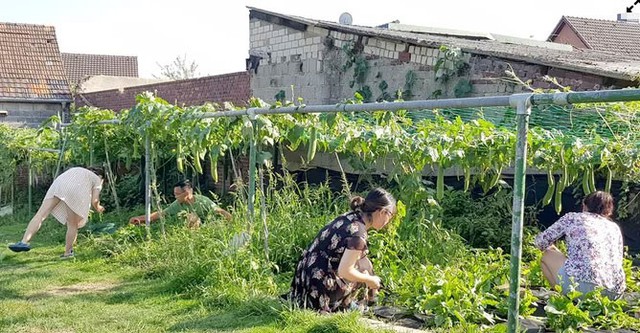 Gia đình Việt làm vườn - ao - chuồng tại Đức - Ảnh 9. Gia đình Việt làm vườn - ao - chuồng tại Đức - Ảnh 9.