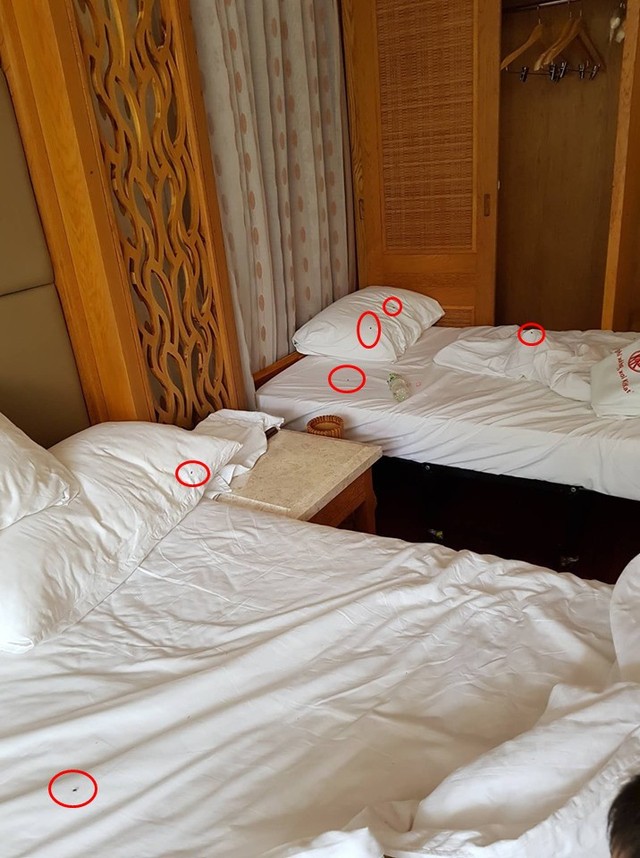 Đi nghỉ dưỡng tại resort 4 sao, du khách phát hoảng khi phải sống chung với ruồi, nhân viên lại đổ lỗi tại khách - Ảnh 4.