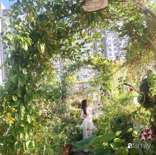 Khu vườn 30m² muôn hoa đua nở trên sân thượng của mẹ đảm thích mộng mơ ở TP. HCM - Ảnh 6.